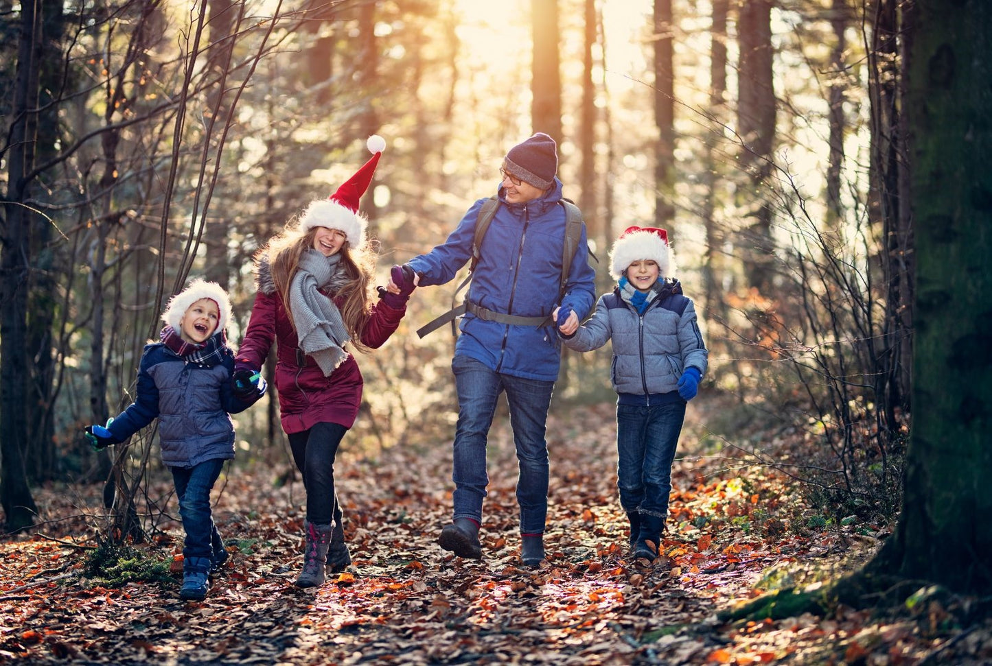 A family enjoying Santa's Frosty Farm