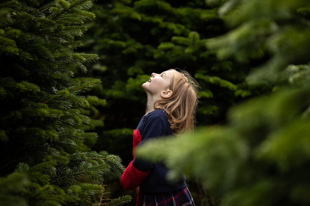 Child at Cut your own Christmas Tree Experience