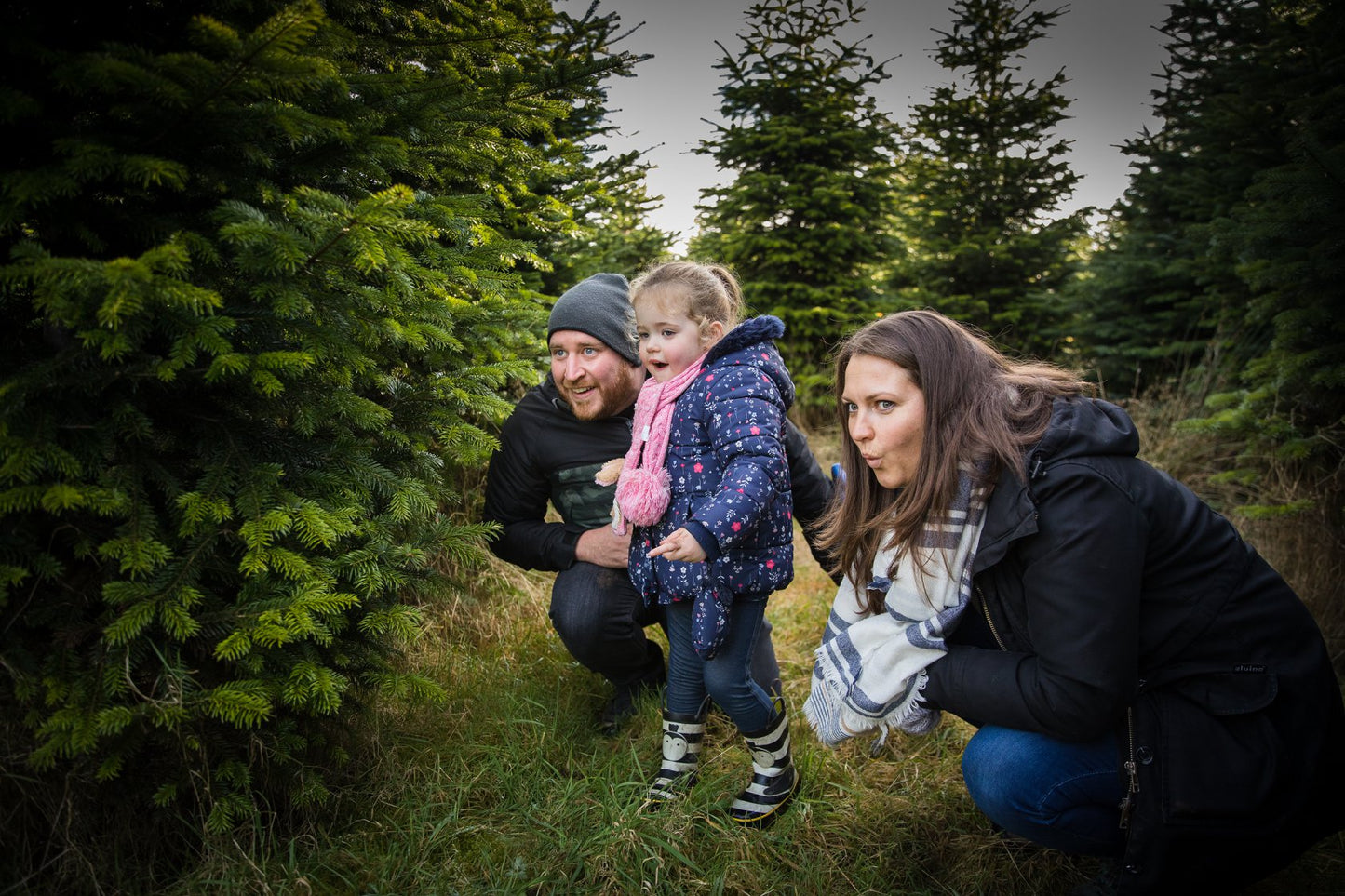 Family experiencing cutting their own tree