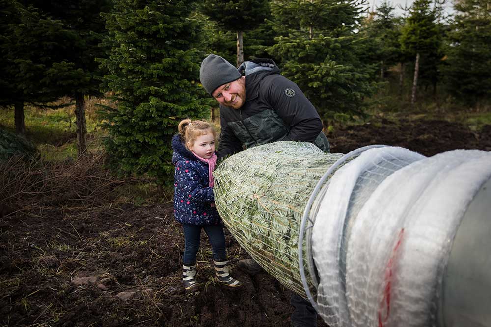 Family wrapping tree at cut your own Christmas Tree experience